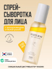 раушан