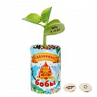 Набор волшебных бобов с аквагрунтом в тубусе «Сказочные бобы»