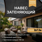 черничный