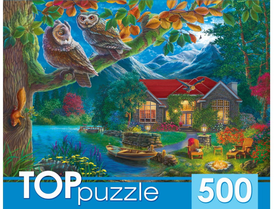 TOPpuzzle  Пазлы элементов Ночной пейзаж и совы 500 деталей