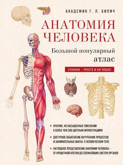 Анатомия человека. Большой популярный атлас