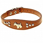 Ошейник-селедка