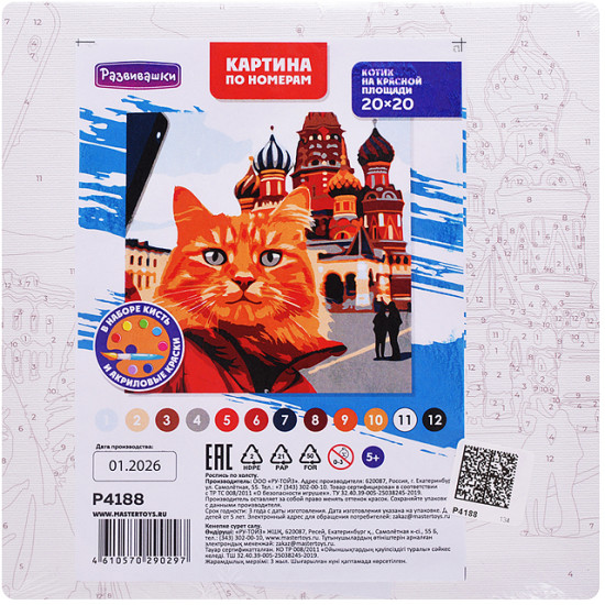 Картина по номерам «Котик на красной площади»