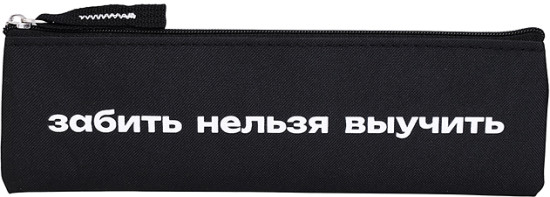 Пенал школьный "Фразы с характером" без наполнения полиэстер молния шелкография ПЭТ