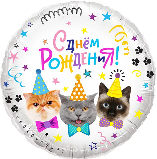 Воздушный шар круг Круг Котики С Днем Рождения! . в уп