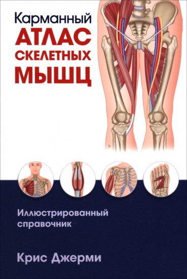 Карманный атлас скелетных мышц. Иллюстрированный справочник