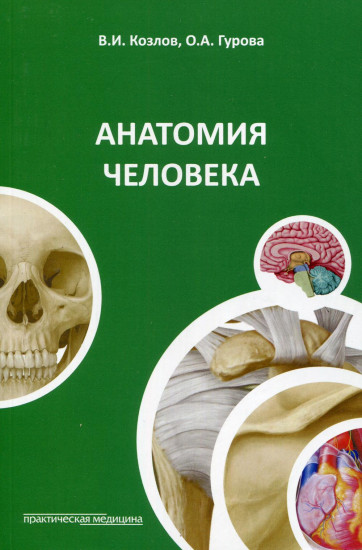 Анатомия человека. Учебное пособие для студентов медицинских вузов. Гриф МО РФ