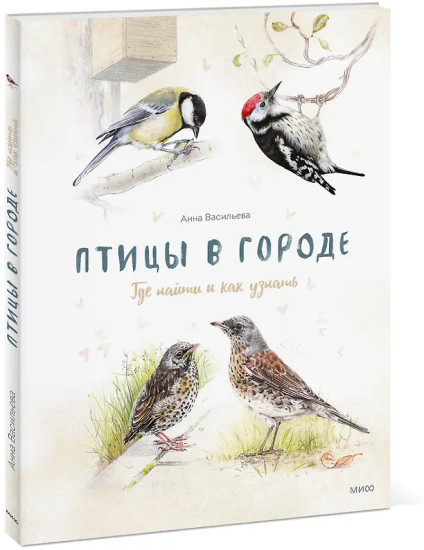 Птицы в городе. Где найти и как узнать