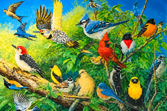 Птицы