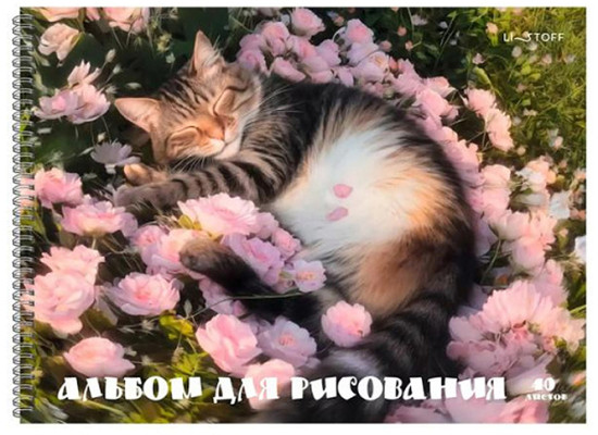 Альбом для рисования «Котик в цветах» 