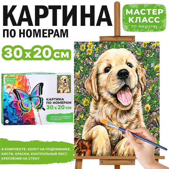 Картина по номерам «Забавный щенок»