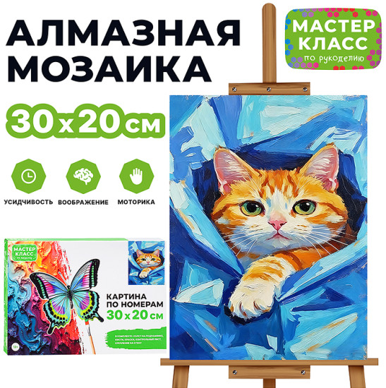 Картина по номерам «Котик в пледе»