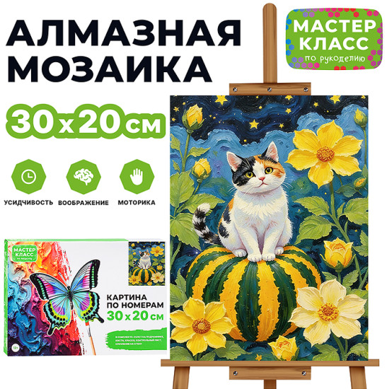 Картина по номерам «Котик на тыкве»