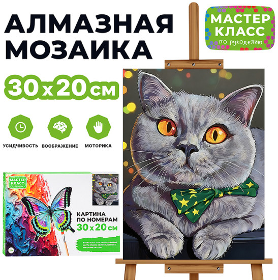 Картина по номерам «Любопытство»
