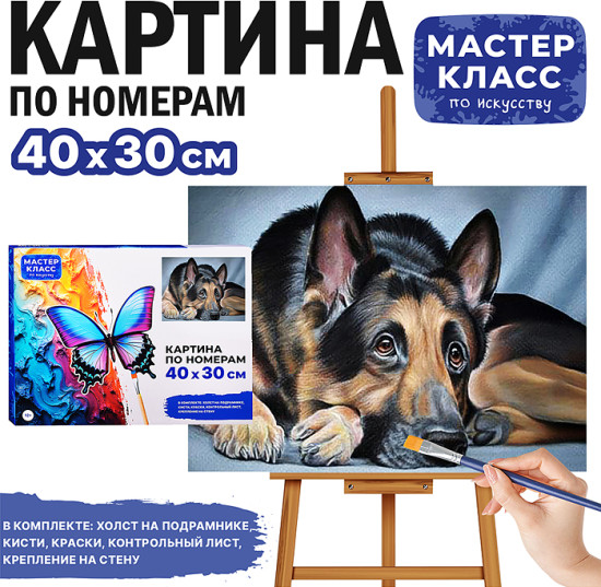 Картина по номерам «Овчарка»