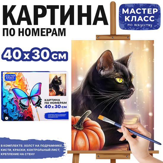 Картина по номерам «Чёрный кот»
