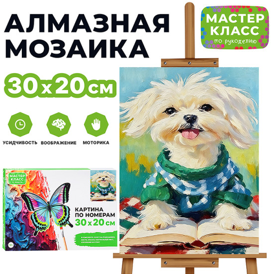 Картина по номерам «Читатель»