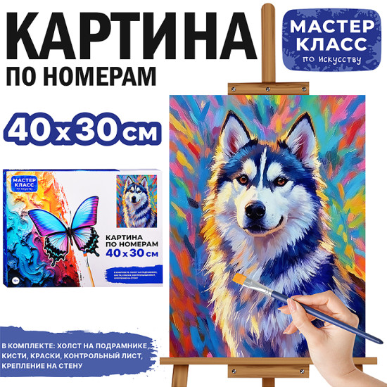 Картина по номерам «Хмурый»