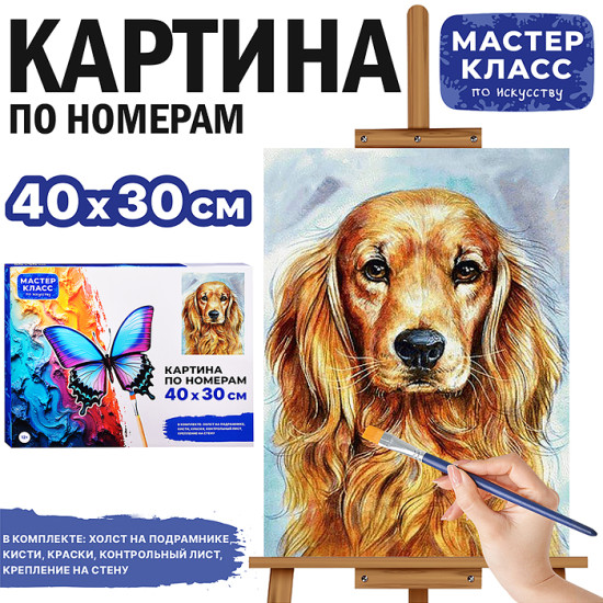 Картина по номерам «Спаниель»