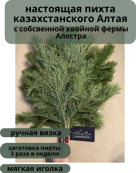 Веник пихты