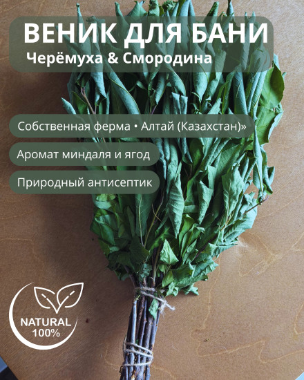 Веник черемуховый