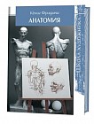Анатомия