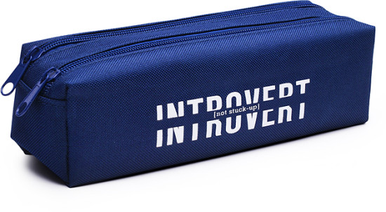 Пенал «Introvert»