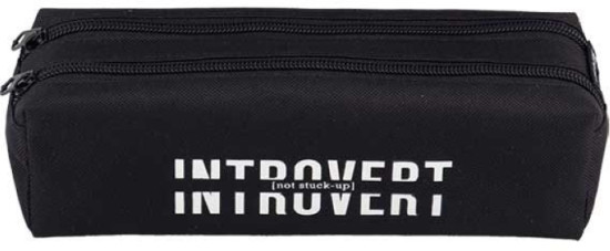 Пенал «Introvert»