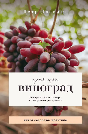 Виноград. Путь лозы. Шпаргалка-трекер. От черенка до грозди