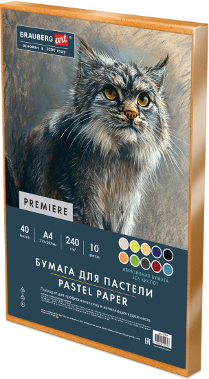 Бумага для пастели Абразивная А4 в коробке, 40 листов, 10 цветов, 240 г/м2, ART, 117767