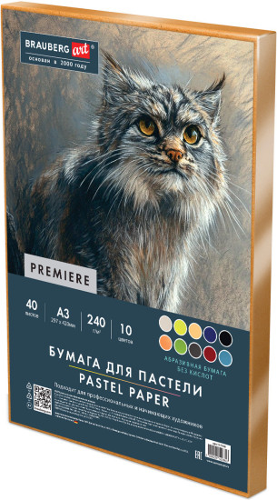 Бумага для пастели Абразивная А4, альбом (склейка), 20 листов, 4 цвета, 240 г/м2, BRAUBERG ART, 117769