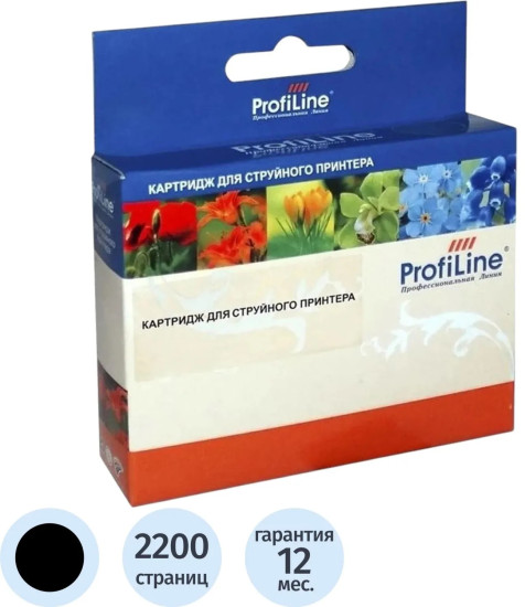 Картридж струйный ProfiLine PL-CLI-481BK XXL 