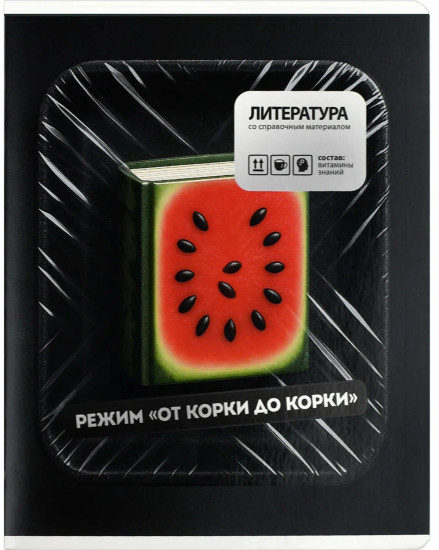 Тетрадь предметная по литературе