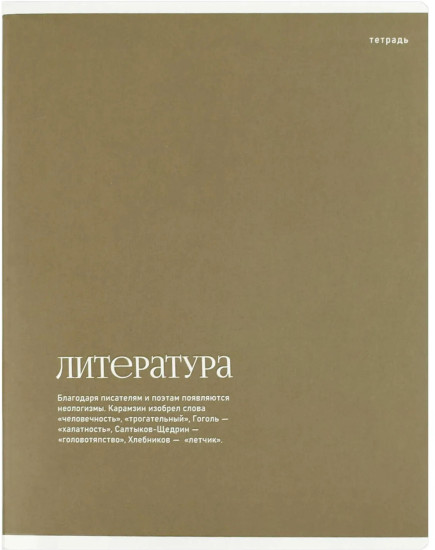 Тетрадь предметная по литературе