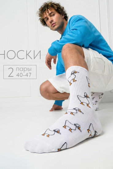 Комплект носков мужских «Гуси»