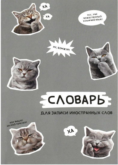 Тетрадь-словарь для записи иностранных слов «Стикеры с котами»