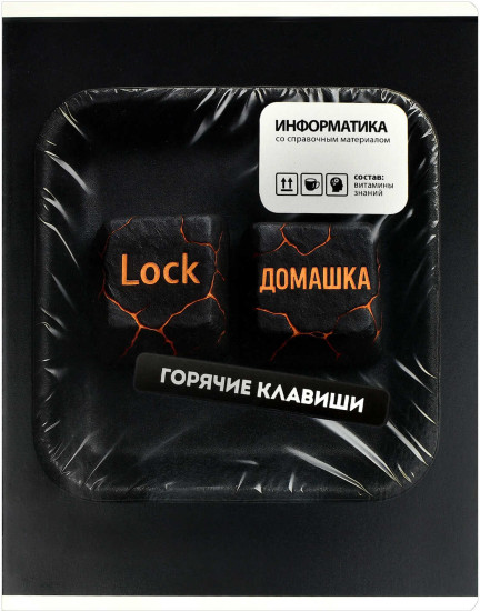 Тетрадь предметная «Информатика»