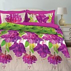 Комплект постельного белья «Фуксия» (арт. 12045, 2-спальный, поплин, 2 наволочки 70х70)