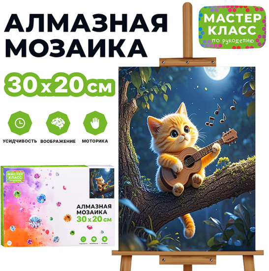 Мозаика алмазная «Котик с гитарой»