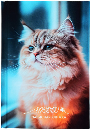 Записная книжка «Фото котика-1»