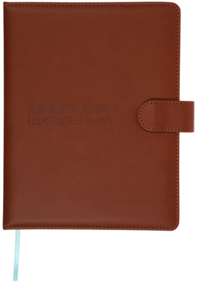 Дневник школьный