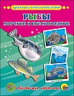 Обучающие карточки "Рыбы морские и пресноводные"