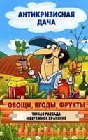 Овощи, ягоды, фрукты. Умная рассада
