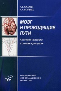 Мозг и проводящие пути. Анатомия человека в схемах и рисунках. Учебное пособие. Гриф УМО по медицинскому образованию