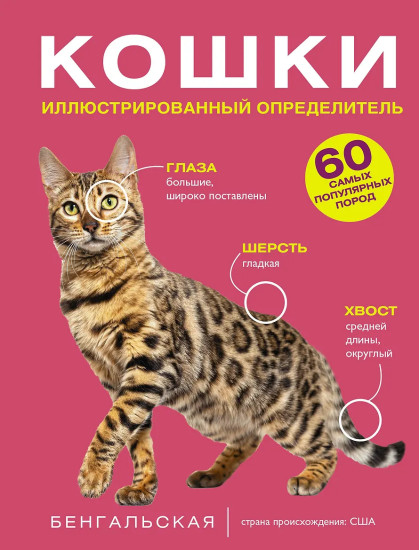 Кошки. 60 самых популярных пород. Иллюстрированный определитель