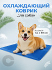 40 × 50 см