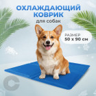 83 × 50 см