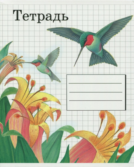 Тетрадь