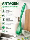жасыл