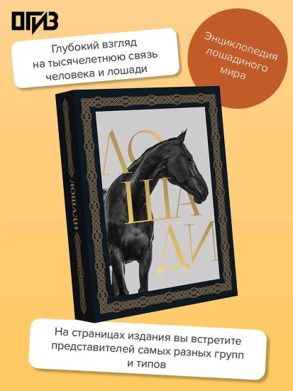 Лошади